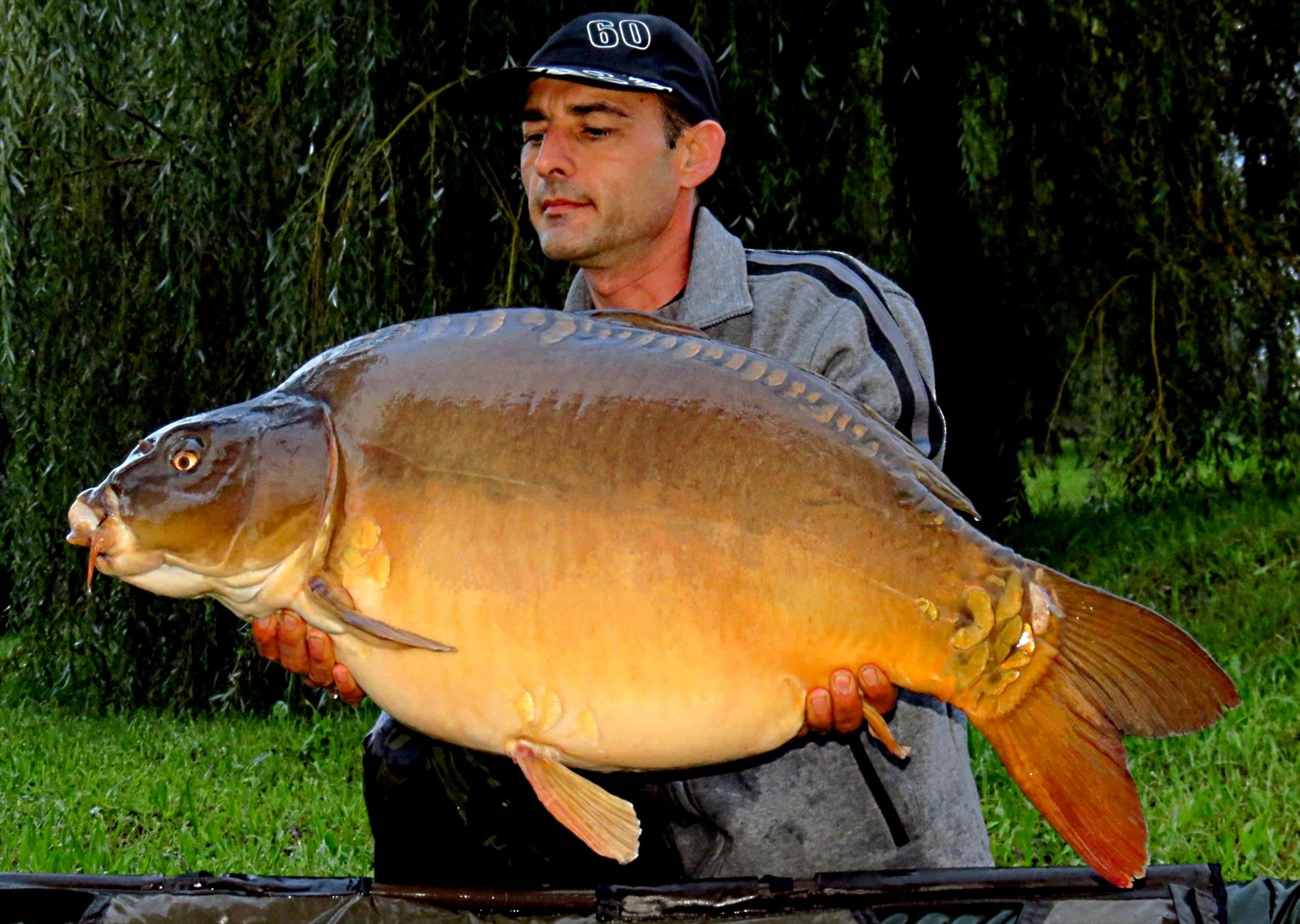 Palici Sep.2014 - img6076-006-oglinda-1862-kg-la-0110.JPG